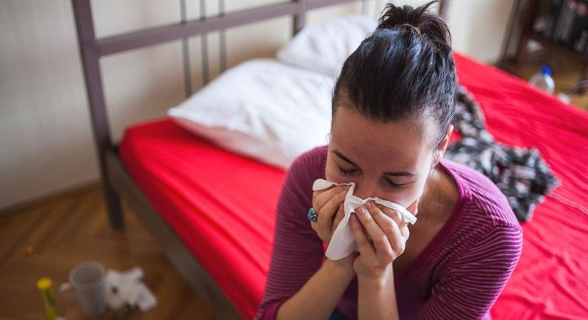 A megfázásos időszakban aranyat ér, most fillérekért juthatunk ehhez a hasznos eszközhöz