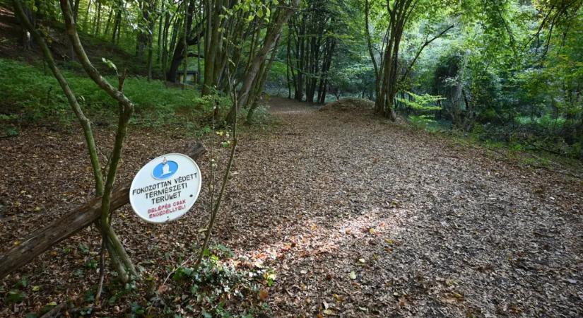 Az adatvédelmi hatósághoz fordultunk a fokozottan védett természeti területek határainak nyilvánosságáért
