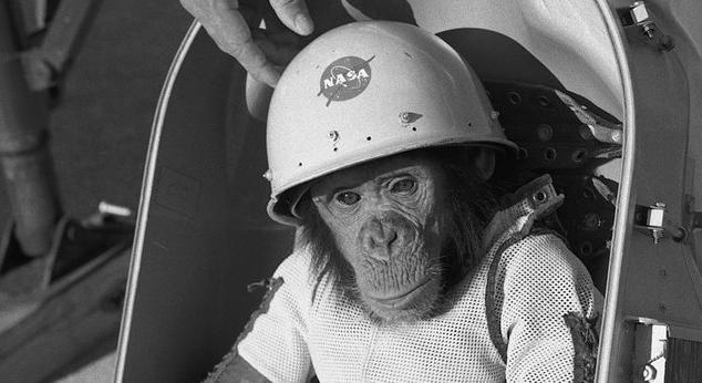 Majdnem a tengerbe fulladt, de végül túlélte az űrugrást az első űrcsimpánz