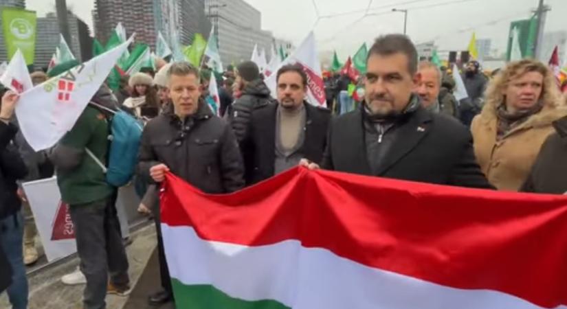 Nem egyszerű gazdák, hanem Fidesz-közeli szereplők álltak bele Magyar Péterbe Strasbourgban