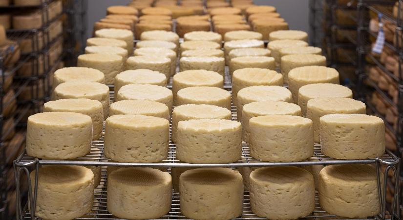 Lejtőn a tej ára, és nem csak Magyarországon