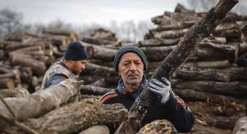 Legyünk észnél: a tűzifa csalók idén se pihennek!