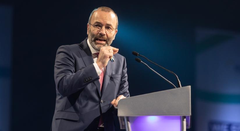 Mint a vak ló, úgy mentek bele a Mercosur-szerződésnek nevezett csalánosba