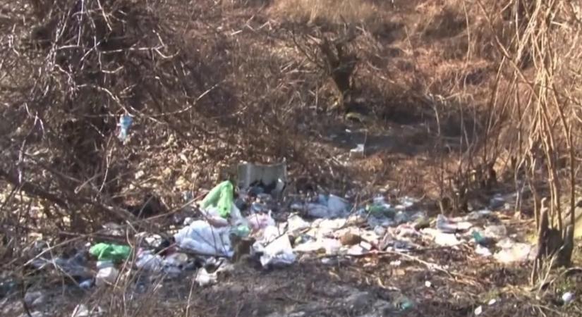 Megrágták a patkányok, mire megtalálták a nagymama holttestét – videó