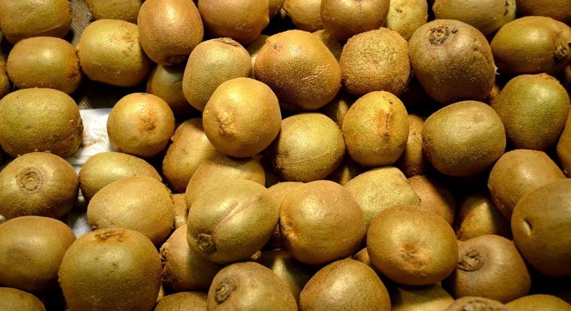 Ma már itthon is szezonális gyümölcs a kivi és a citrom