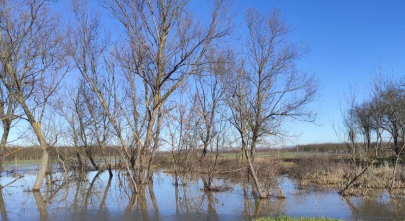 Vízmegtartás és ökológiai vízpótlás – Természetközeli megoldások milliárdos kerettel