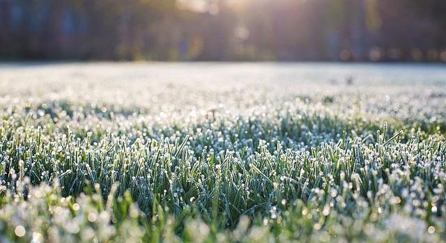 –15–20 fokos éjszakai fagy: télen többnyire bírják a gyümölcsfák, a kockázat inkább az enyhülés utáni lehűlésnél nő