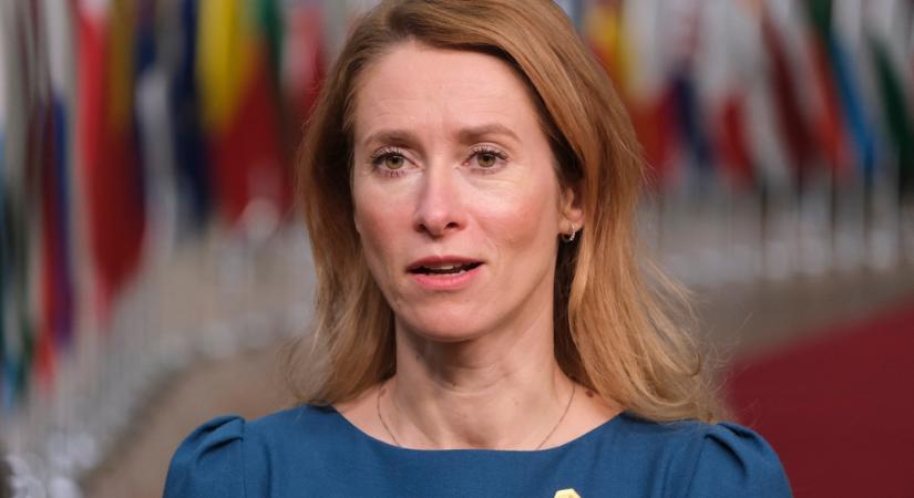 Az észt italos szerint Grönland a grönlandiaké