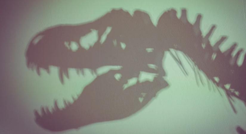 Új felfedezés boríthatja fel a T. rexről eddig alkotott képet