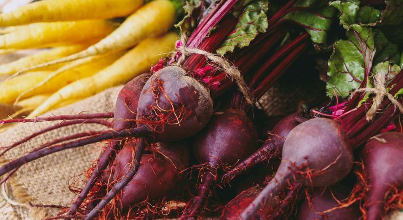 Téli fagyok szűkíthetik a céklakínálatot a régióban