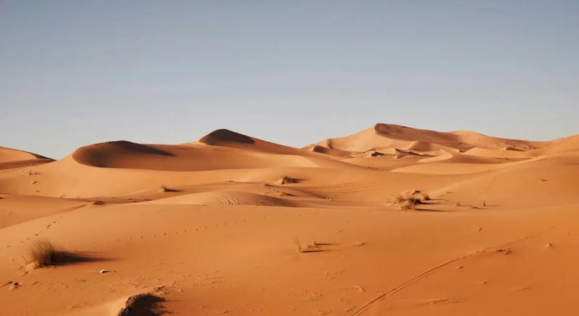 Ritka jelenséget vettek videóra a Szaharában