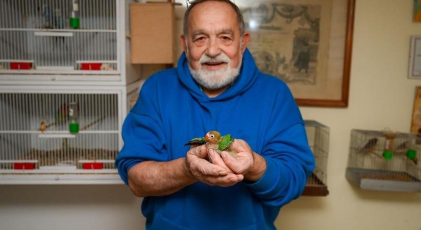 Arany- és ezüstéremmel térhetett haza a petőházi papagájtenyésztő