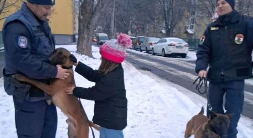 Hideg időben fokozott felelősséggel tartozunk állatainkért
