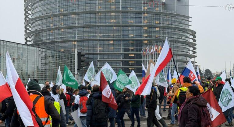 Egyre dühösebbek a gazdák – Az Európai Parlament előtt követeltek vétót a Mercosur-megállapodásra