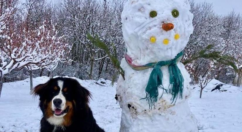 Hóemberépítő verseny hozta lázba a falut, több mint harminc alkotás született