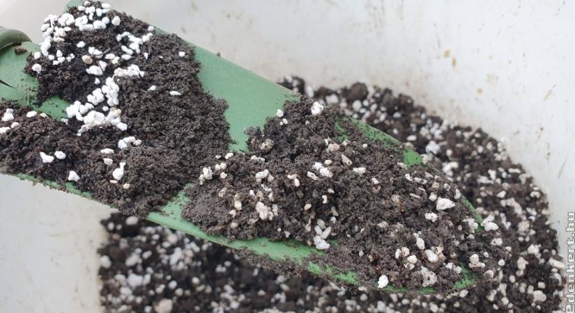 Így készíts palántaföldet egyszerűen házilag