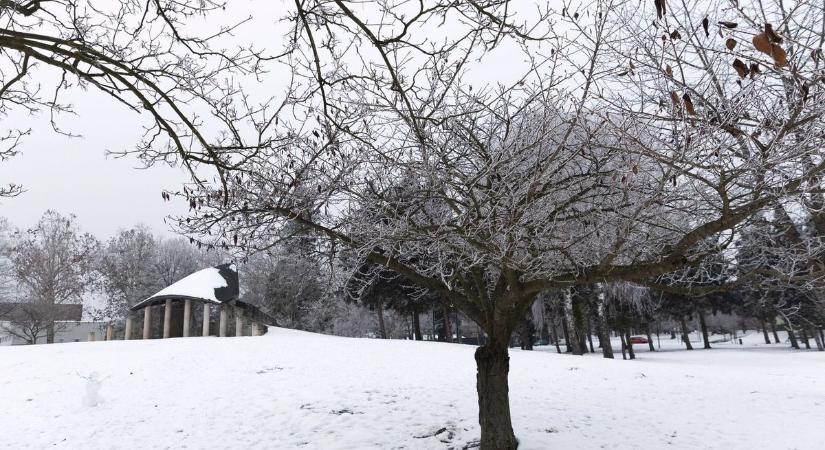 Hogyan befolyásolja a tartós hideg a gyümölcsfák egészségét, és várható-e idén termés?