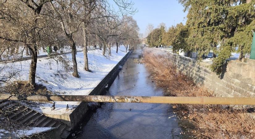 Voltak olyan idők, amikor azt hittük sosem látunk ilyet: váratlan látogató érkezett az Érsekkertbe  Fotók