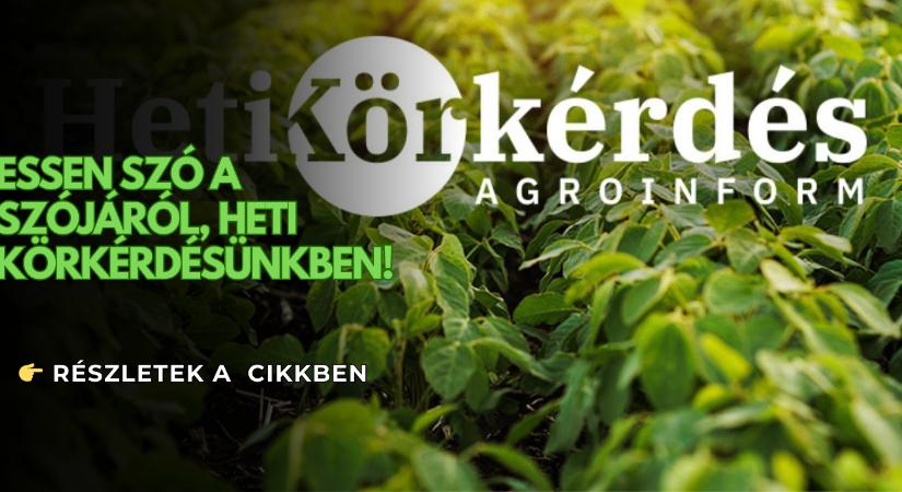 Melyek a különböző éréscsoportú szójafajták „zászlóshajói”? – Heti Körkérdés