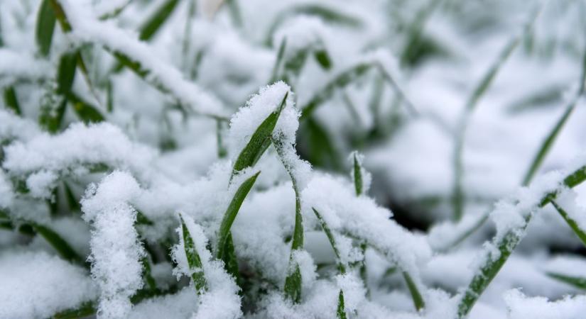 Hó alatt a remény: mit ér ma a hótakaró a mezőgazdaságban?