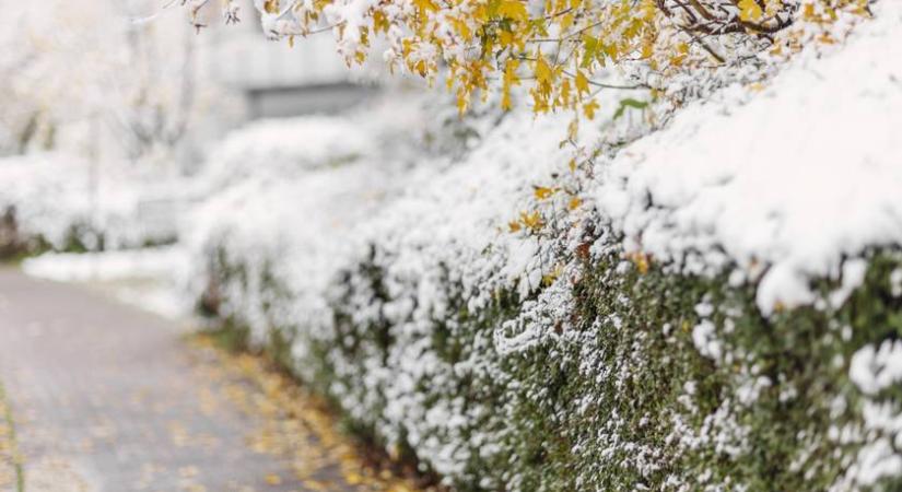 Kevesen tudják: szabálysértést követsz el, ha ezt az apró tárgyat a házad elé teszed