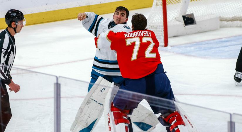 Ilyet is ritkán látni: kapusok estek egymásnak az NHL-ben – videó!