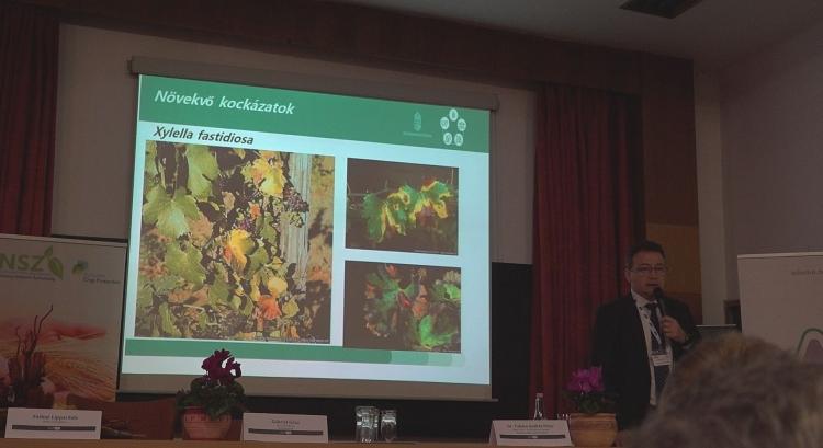 A növényvédelem új kihívásairól tanácskoztak Keszthelyen