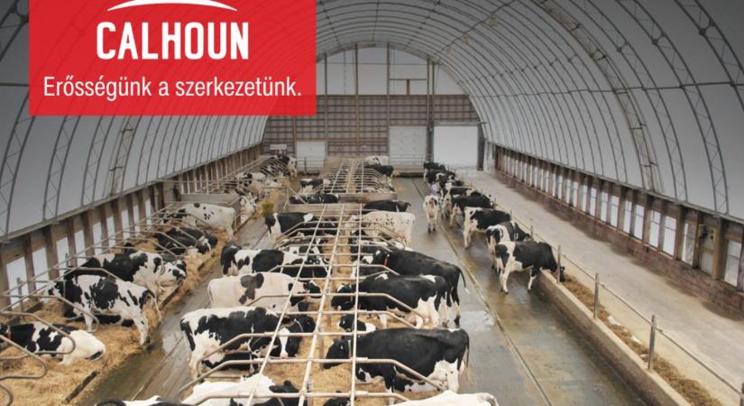 Gazdaságos csarnoképítés kompromisszumok nélkül