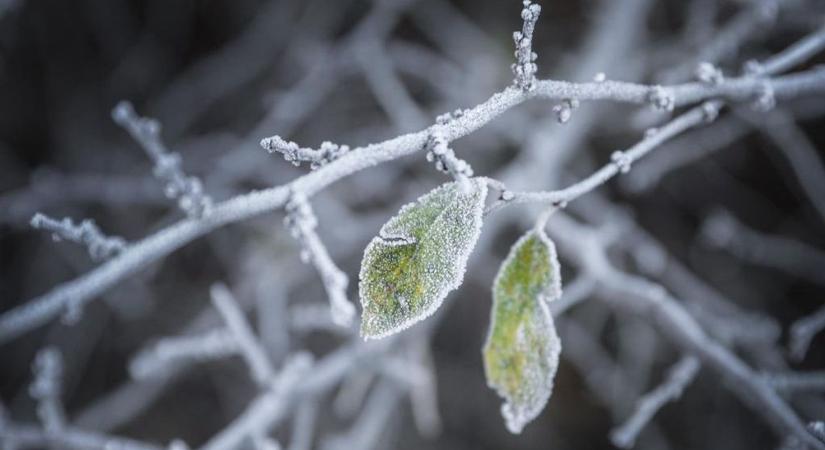 Változik az időjárás, közleményt adott ki az Operatív Törzs