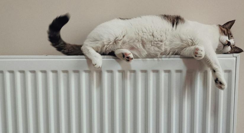 Hol legyen a radiátor? Hibák, amelyek meglátszanak a fűtésszámlán