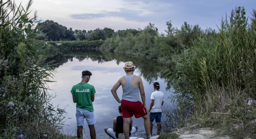 Ösztönös franciák, uborkaföldek és Féner Tamás: hat fotókiállítás fogcsikorgató hideg ellen