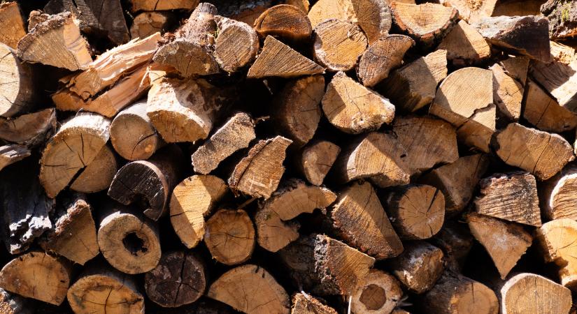 Hideg van, megjelentek a tűzifacsalók