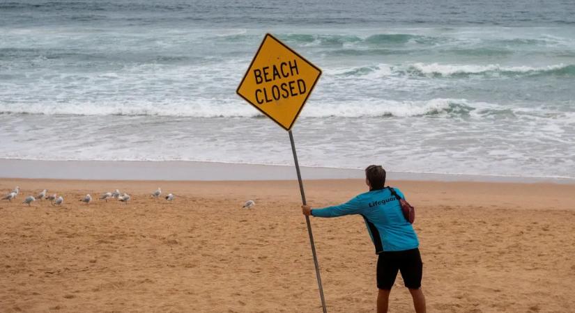 Fekáliagolyók lepték el Sydney partjait