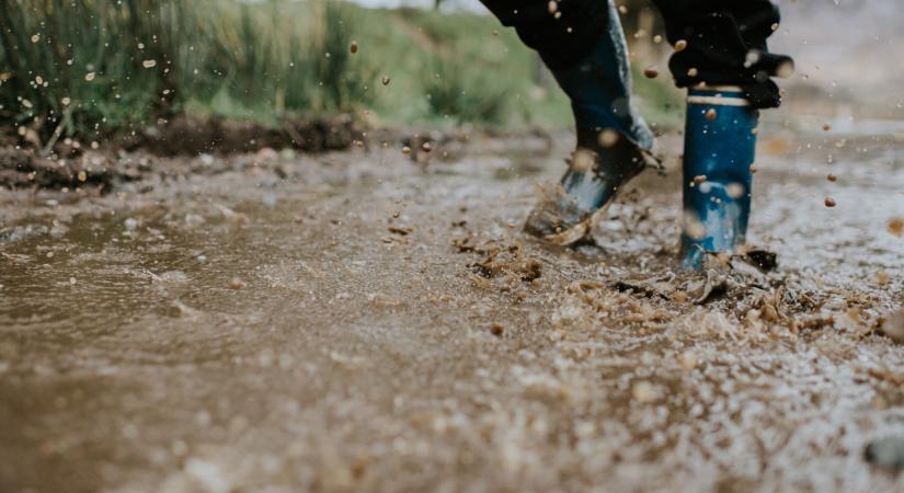 Eljött az idő: komoly pénzt kap, aki 2026-ban így gazdálkodik a földjén