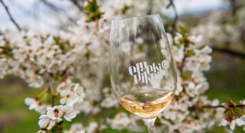 Tavaszi Etyeki Piknik 2026