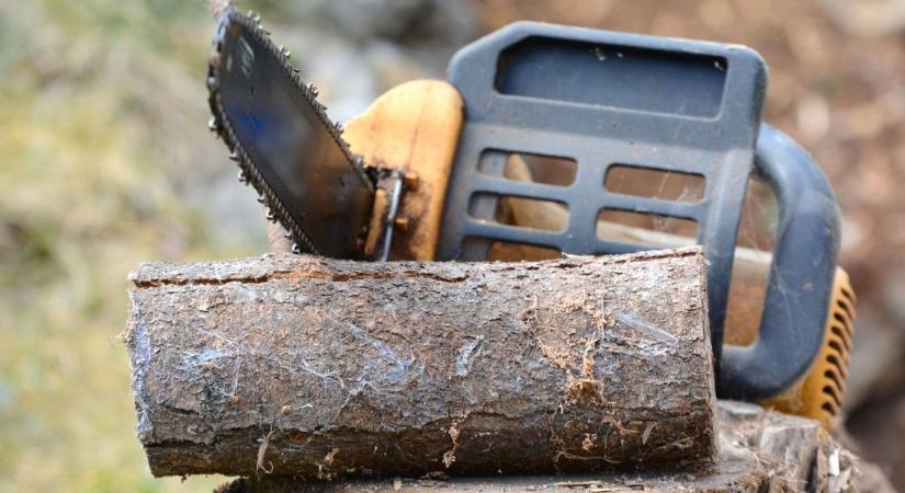 Elkapták a hevesi láncfűrészest: videóra vették, amikor újra lecsapott