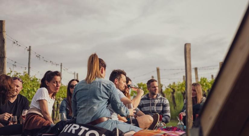 Palkonyai Pünkösdi Nyitott Pincék 2026