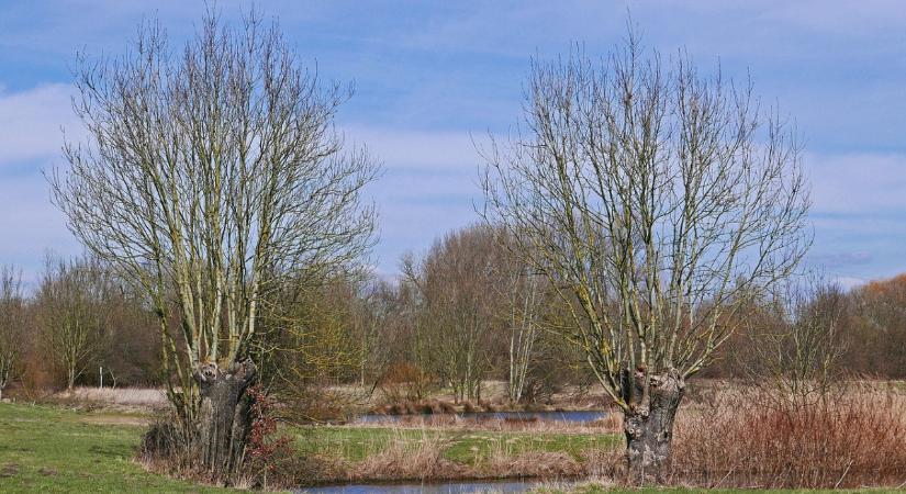 Aranyat ér a visszatartott víz – hektáronként 900 euró feletti támogatás a gazdáknak