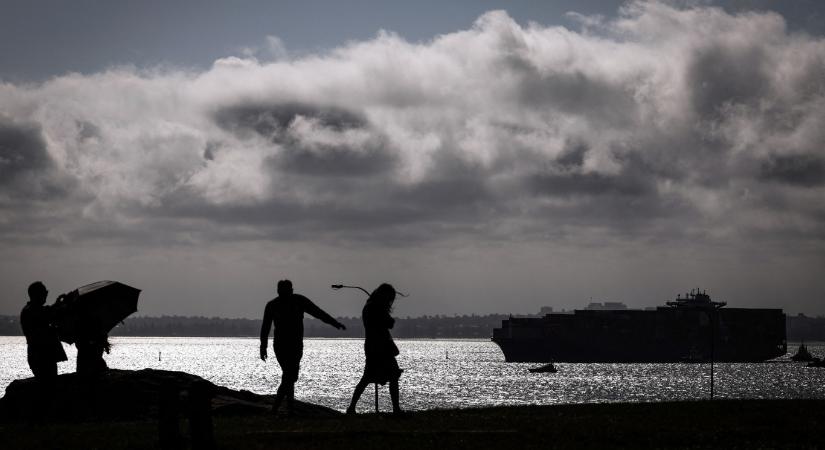 Szargolyókat mosott partra a víz Sydney több strandján