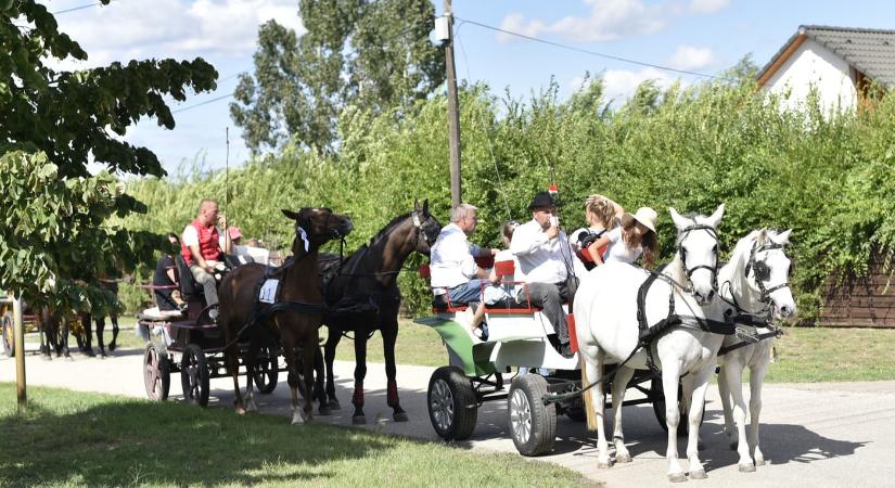 Ballószögi Szüreti Napok 2026