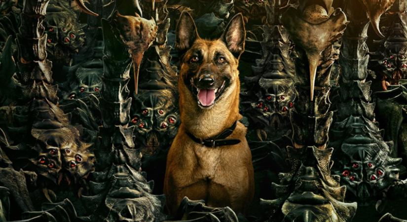 [KRITIKA] Fallout, 2. évad, 6. rész - A háború néha változik