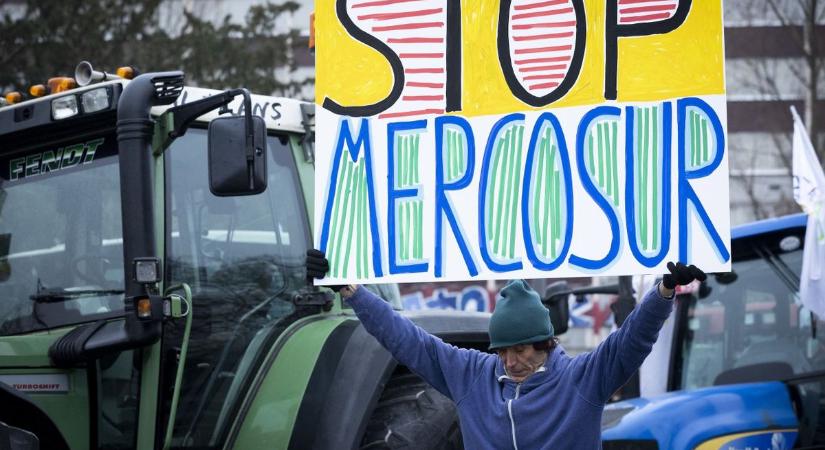 A Mercosur-megállpodás nem az ebberek érdekét szolgálja – megkongatta a vészharangot a Nemzeti Agrárgazdasági Kamara