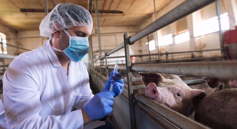 Bővül az antibiotikum-jelentési kötelezettség