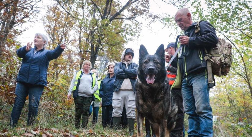 Segítsünk keresni, mert döbbenetes mennyien tűntek el Somogyból egy év alatt!