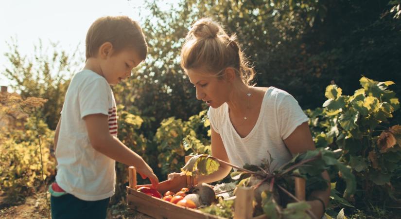 Az egyik legvitatottabb gyümölcs: sokan kilószámra fogyasztják, pedig nem veszélytelen