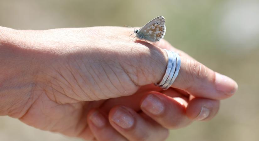 A hüvelykujjon viselt gyűrűk rejtett jelentése