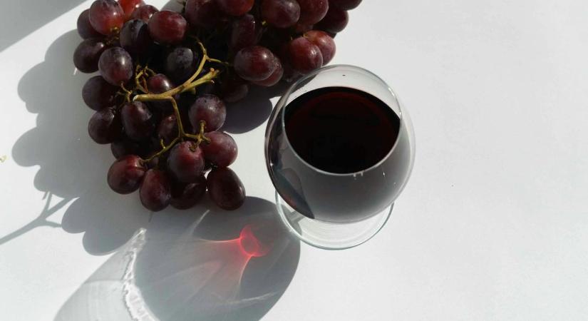 Vince-nap Balatonfüreden: újborkóstoló és szakmai előadások