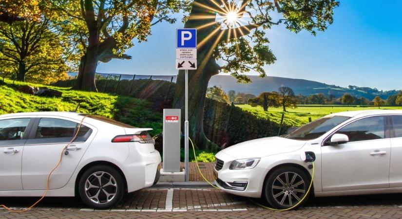 Surján László: A méregzöldek lukra futottak