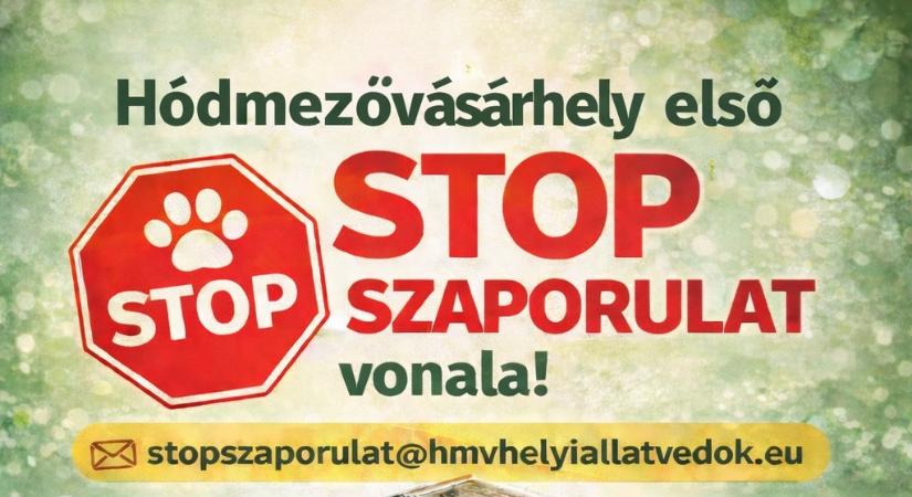 Elindult a STOP SZAPORULAT program Vásárhelyen