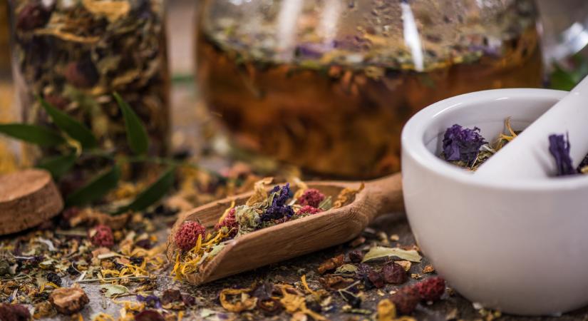 Téli immunerősítő gyógynövények, amikért hálás lesz szervezeted